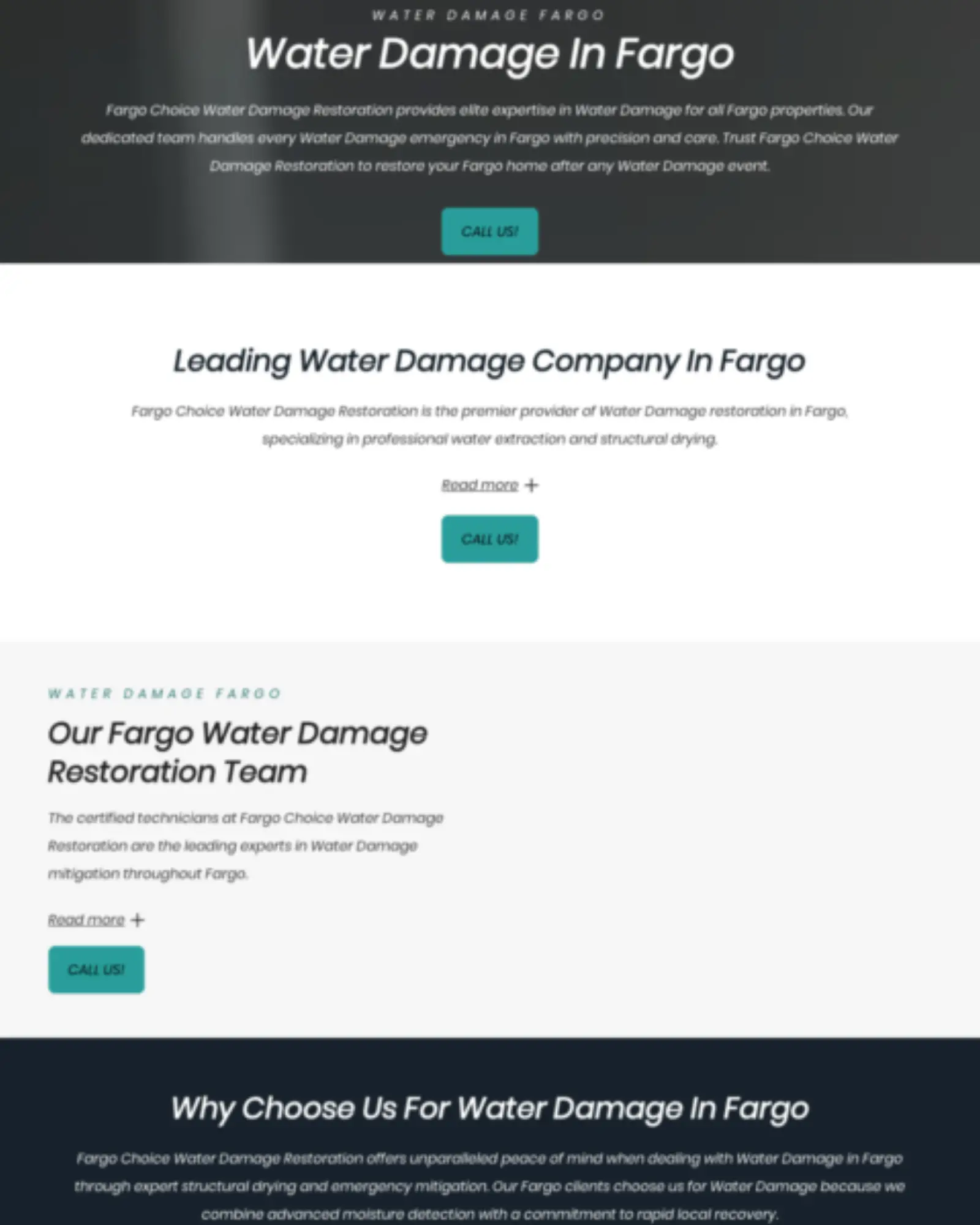 Irving — mold removal